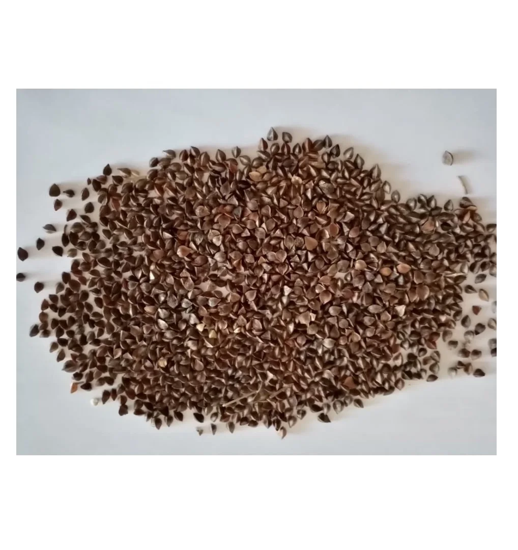 
Big bag healthy grains buckwheat seeds 