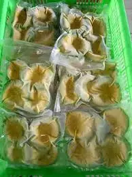 Оптовая продажа замороженный авокадо из Вьетнама MS ANNA + 84902804571