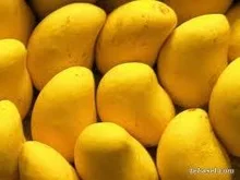 100% чистый сладкий манго-лучшее качество