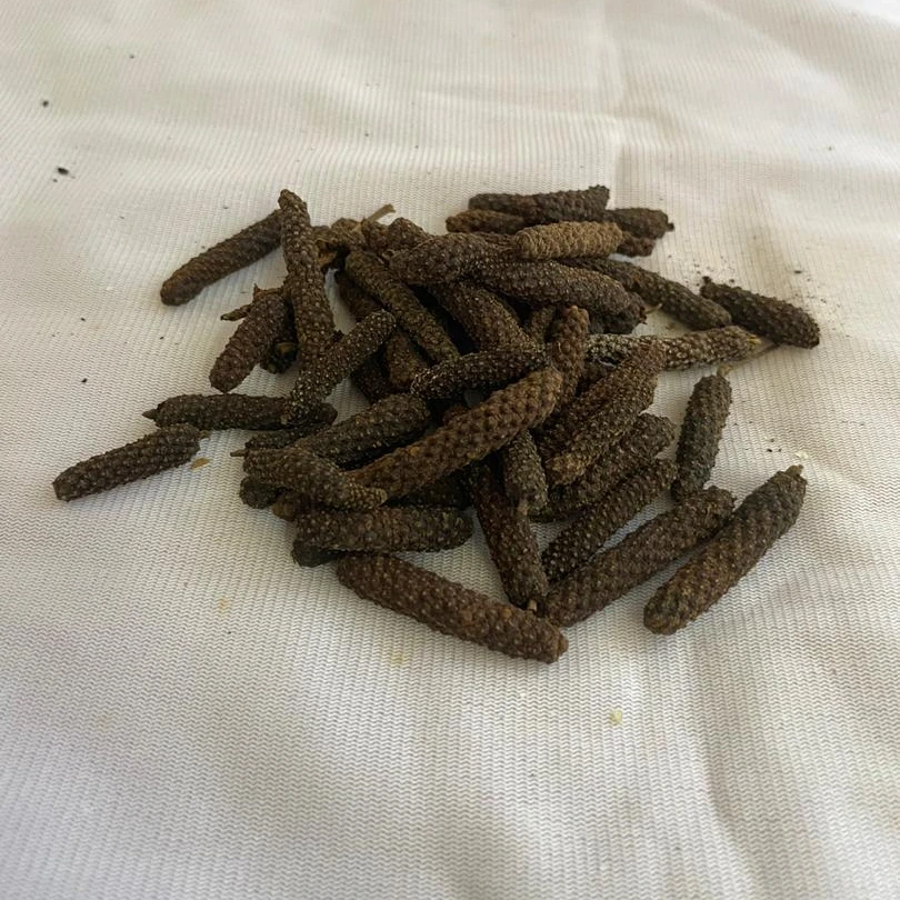 
Dried Long Pepper, Pipli Seeds, Black Pepper  (1600087284162)