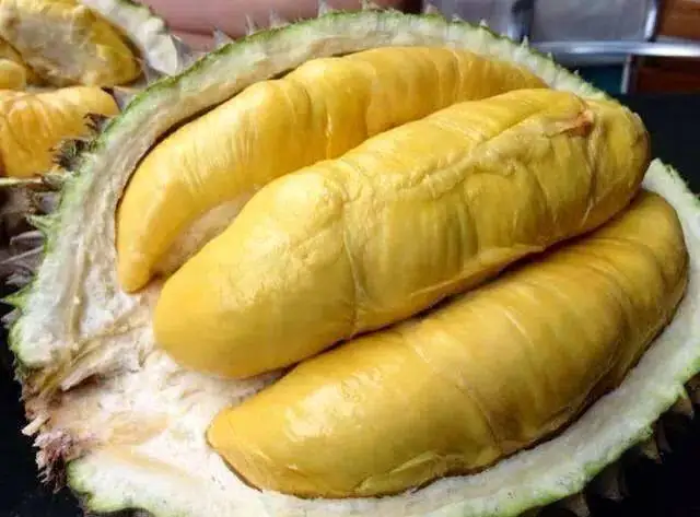 Premium Fresh Monthong Thai Durian Fresh Fruit With High Quality And Best  Price