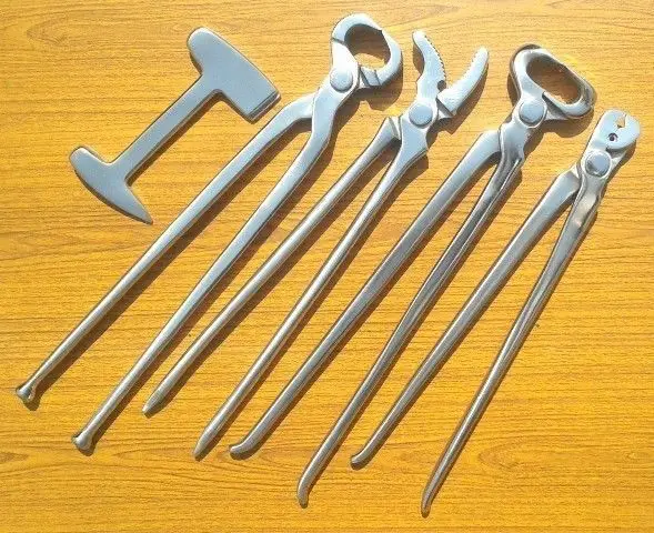 
Farrier Kit for Horse Hoof Care Farrier Tools Kit Veterinary Surgical Instruments 