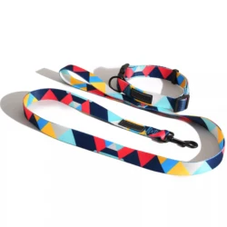 Saiji waterproof Eco friendly pet rainbow rope lead and competitive price retractable running dog leash collars