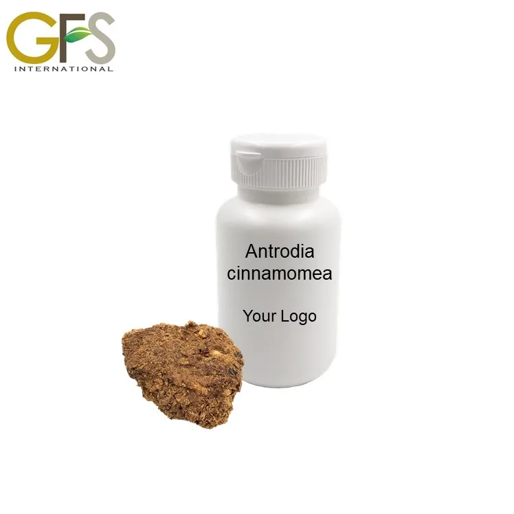 daily Turmeric health food products manufacturers