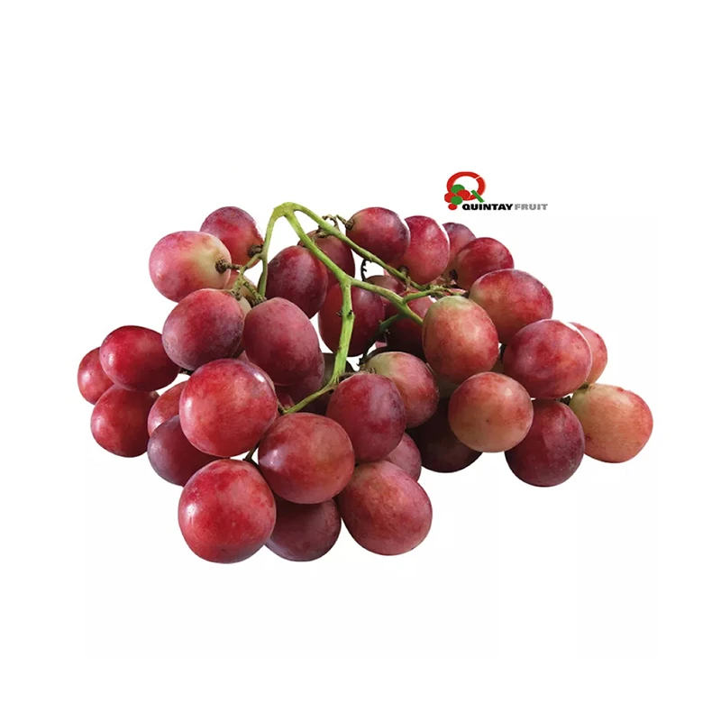 Premium Red Grapes Red Seedless Fresh Grapes At Cheap Price Per Kg Crimson Red Grapes Bulk Exporter