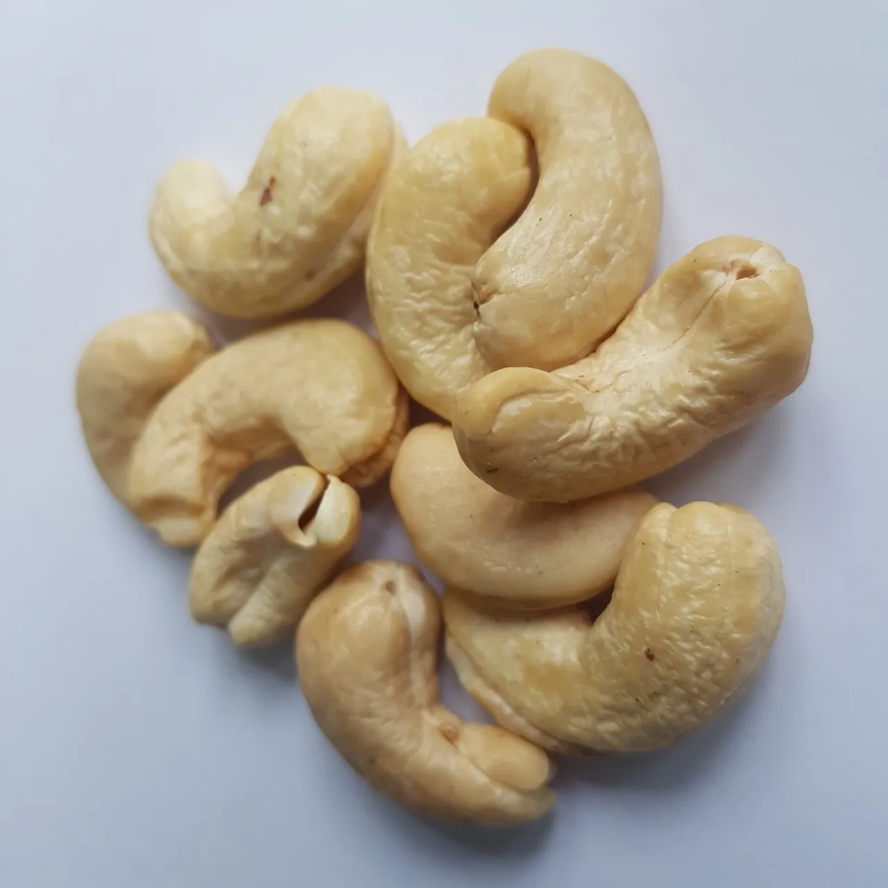 [ORGANIC NUT ]   Cashew Kernel Made in Vietnam