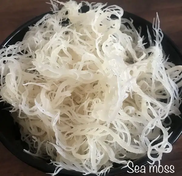 Преимущества морского Моха/ирландский мох для продукта heallthy из Вьетнама/Ms. KIO HUYNH + 84 34 375 8904