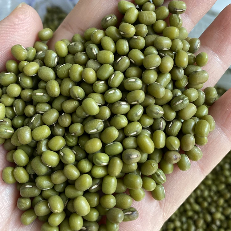 Green Mung Beans