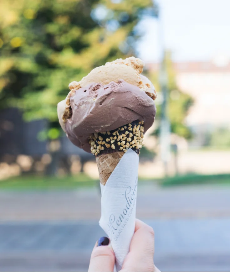 White Chocolate Ice cream - Gelato - Made in Italy - 5Lt tub - for HORECA and ICE CREAM SHOP