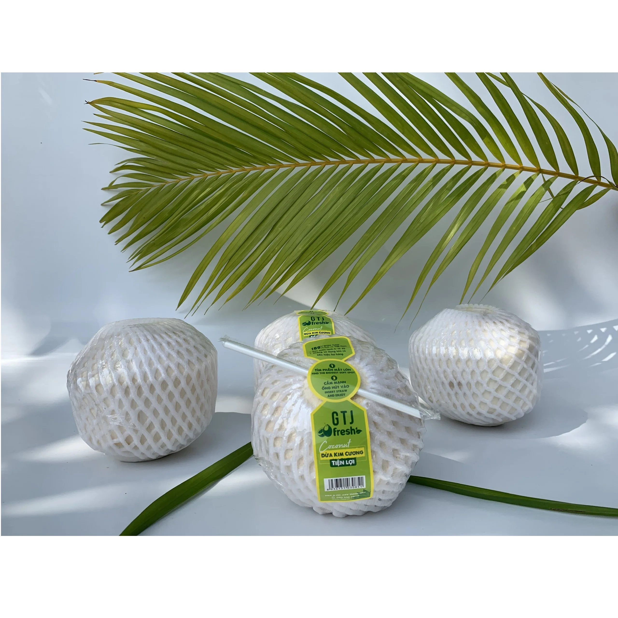 Four Weeks Shell Life Pulp and shell Common Cultivation Type Convenient Diamond Cut Shape Coconut  from Vietnam