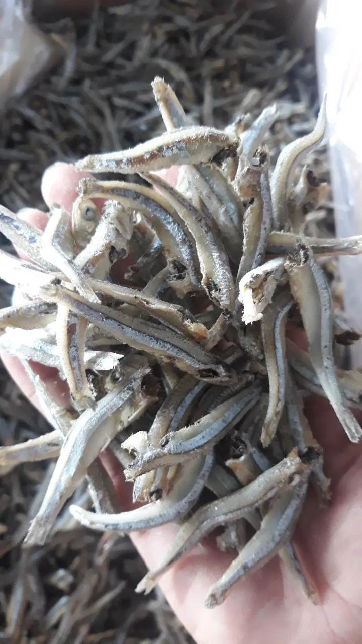 Dried Anchovy With Head Or Headless (Sprat) Best Price/ Dried Anchovy