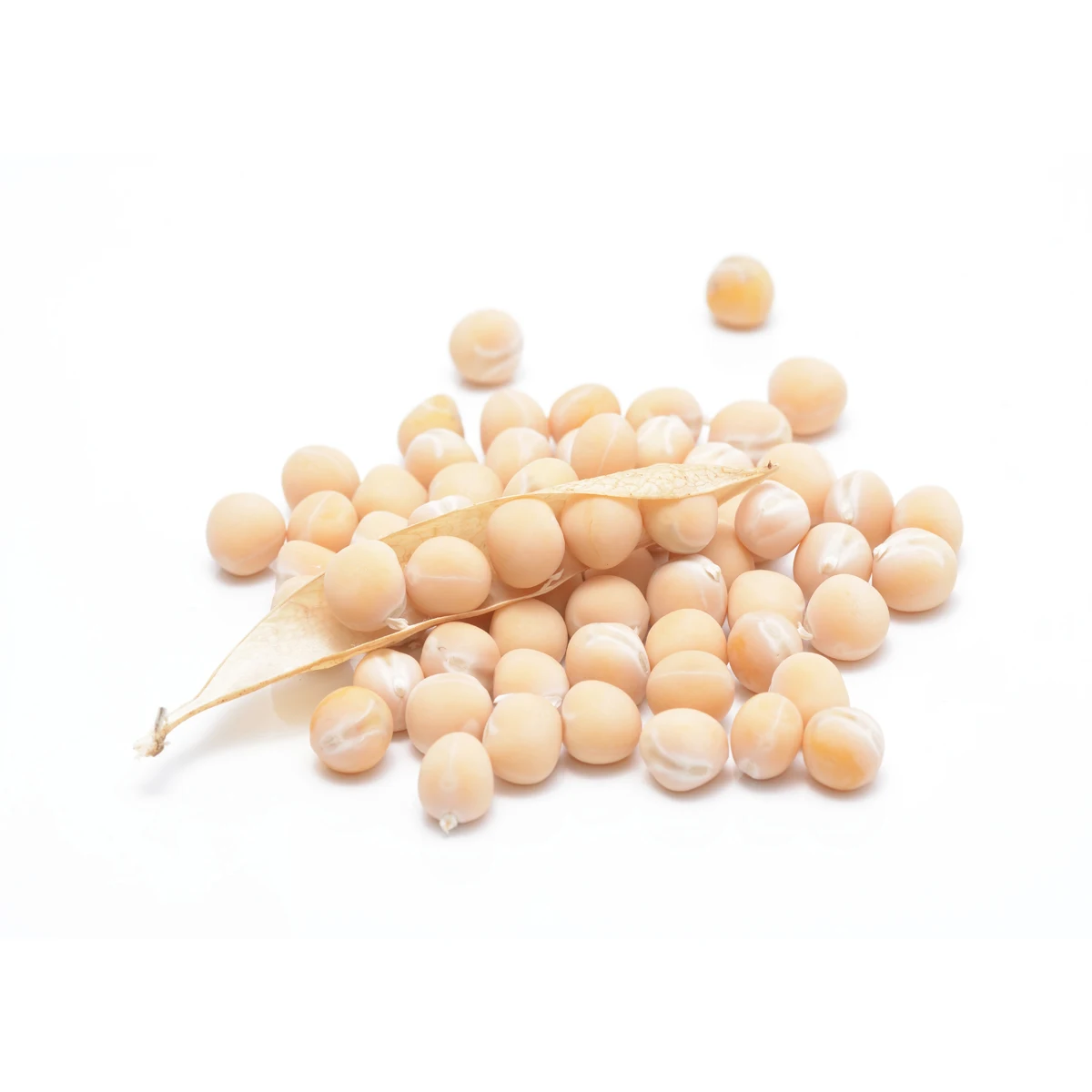 
Good quality peas in bulk high protein, pea protein 