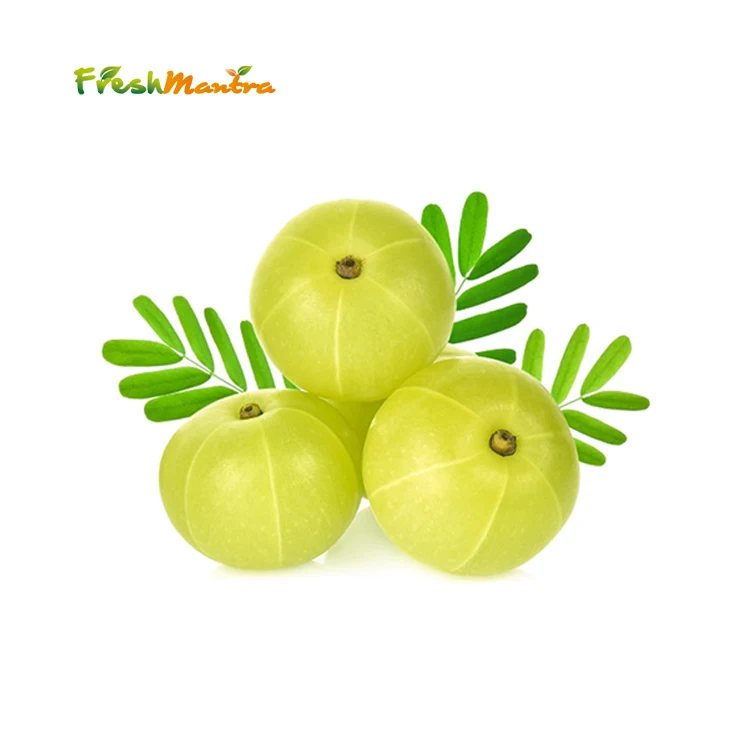 100% Natural Phyllanthus Emblica Pure Amla Powder for Medical and Beauty Benefits