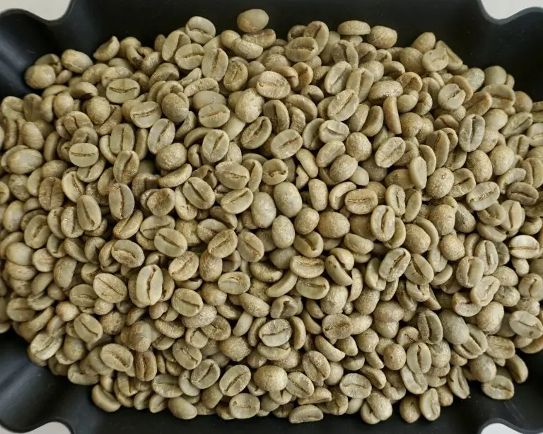 Highland Langbiang Arabica Honey Coffee Beans High Quality Natural Processing Coffee from Vietnam Roasted Arabica Green Coffee