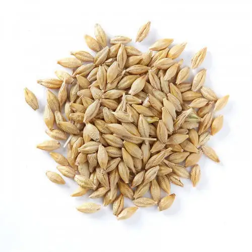 
Wholesale Market Price Barley Grains, Prices Per Ton 