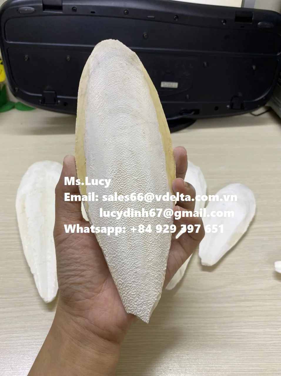  Минералы и кальций для животных/Высококачественная косточка Для морской слепки из Вьетнама мисс Люси + 84 929 397 651