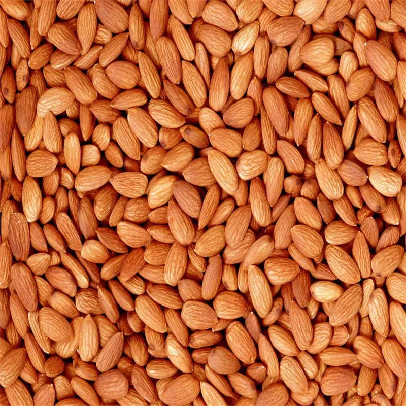 High-Quality Shelled and Unshelled California Natural Delicious Almonds At Wholesale Prices