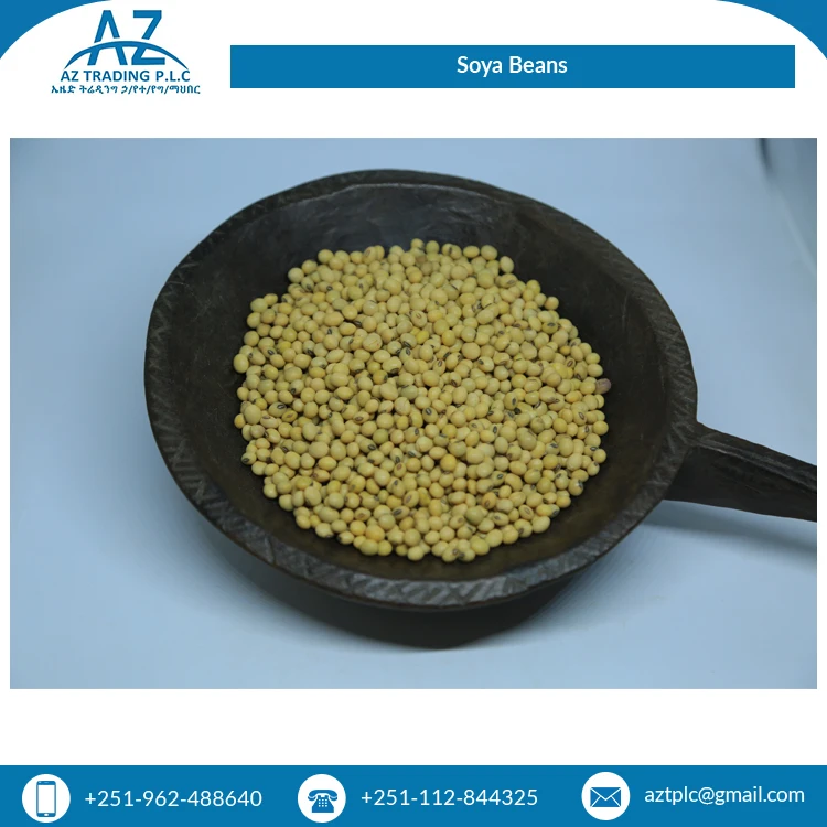 Свежая стильная Высококачественная соевая фасоль для обычного культивирования ручная сборка эфиопийский крем от надежного поставщика