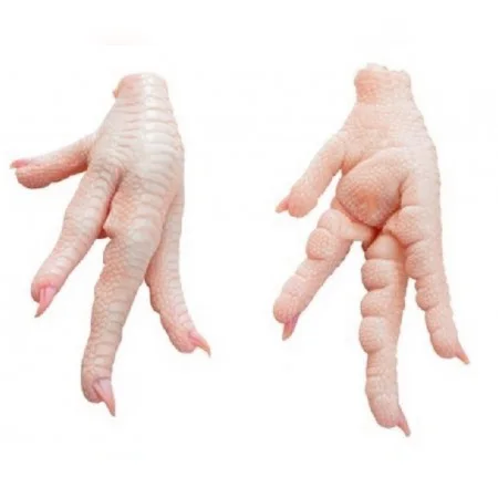 Clean White Grade (A) Chicken Feet / Frozen Chicken Paws Brazil