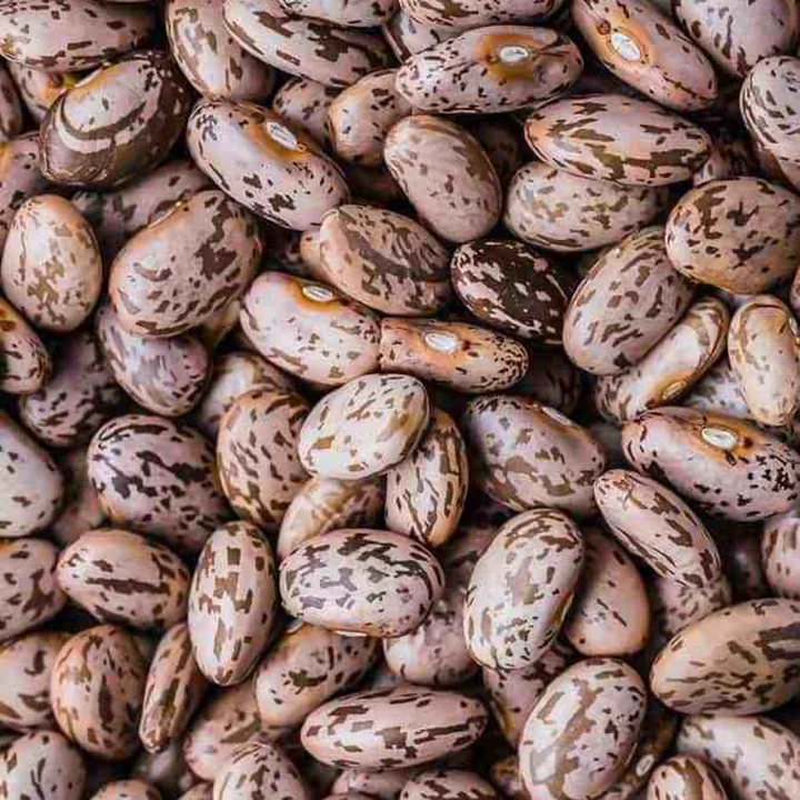 Delicious Pinto Beans for sale