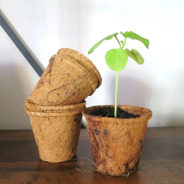 Wholesale 100% Biodegradable COIR POT Planter for Garden from Viet Nam