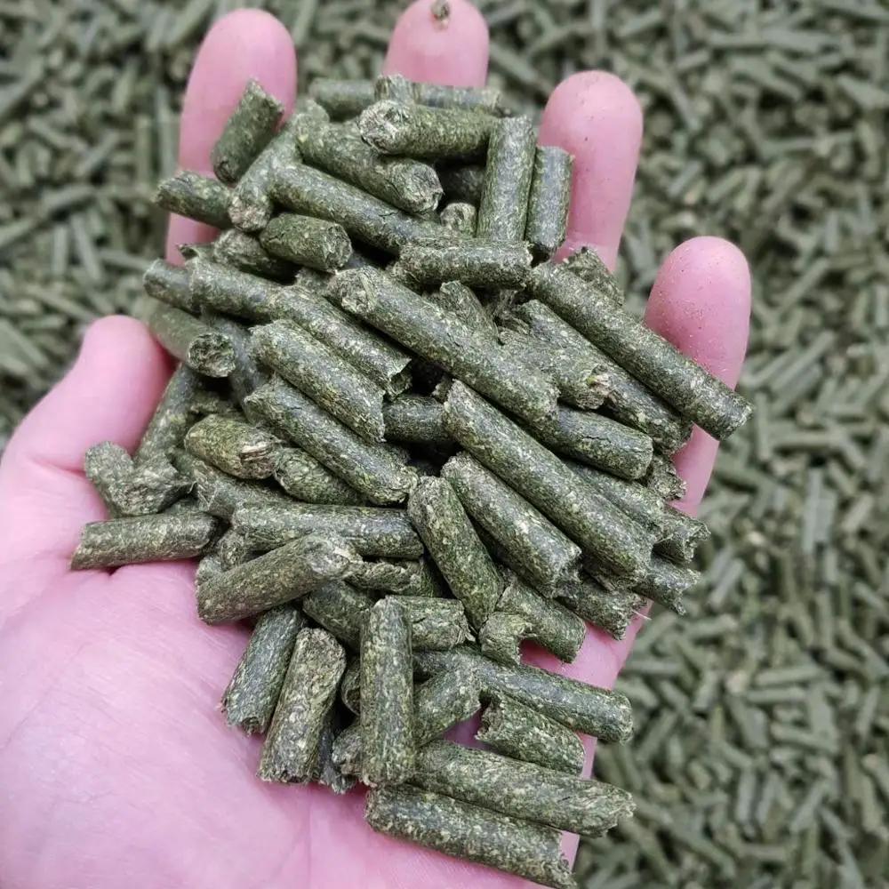 
Alfalfa Pellets 
