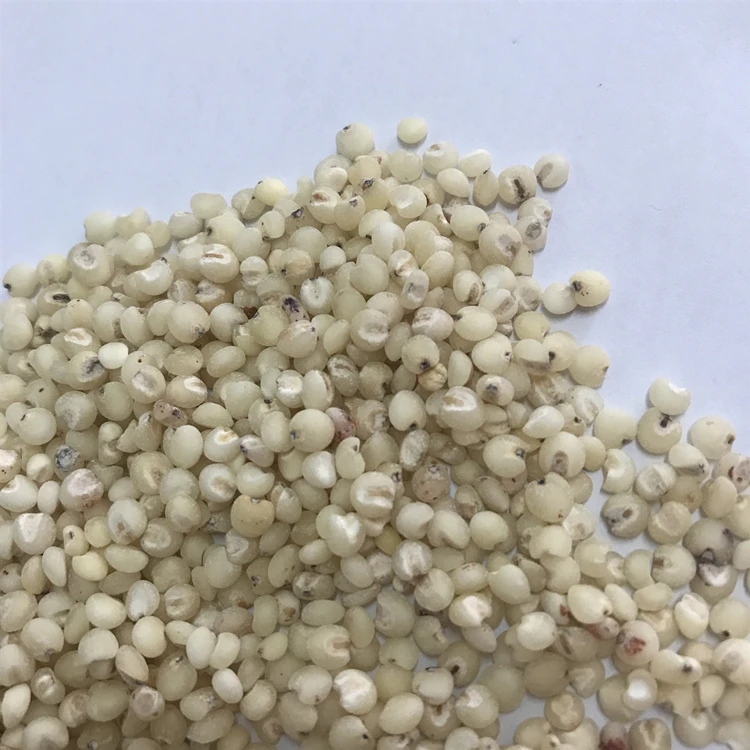 Распродажа 100% сушеные органические зерна белого сорго очень дешево для продажи