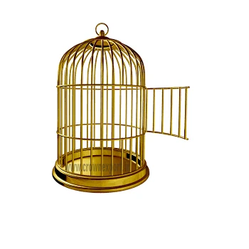 New Animal Pet Cage Bird Cages Indian Metal Hanging Parrot & Pigeon Cage For Indoor & Outdoor Decor For Garden House Decoration