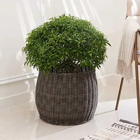 Handmade planters customized design & size decorative planters Rattan Core planters flower pots for indoor outdoor planting