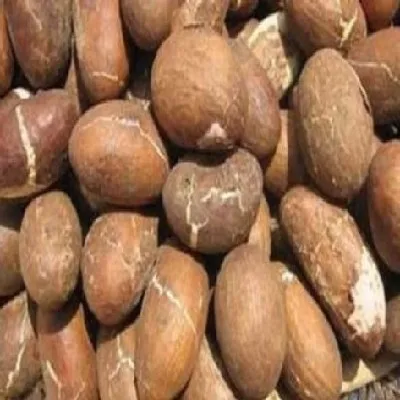 Best Quality West Canada Garcinia Bitter Kola