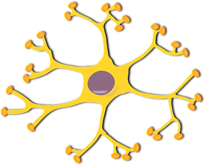 
Diabetic Neuropathy - Organic Ayurvedic Herbal Medicine - Single medicine - Assured Results 