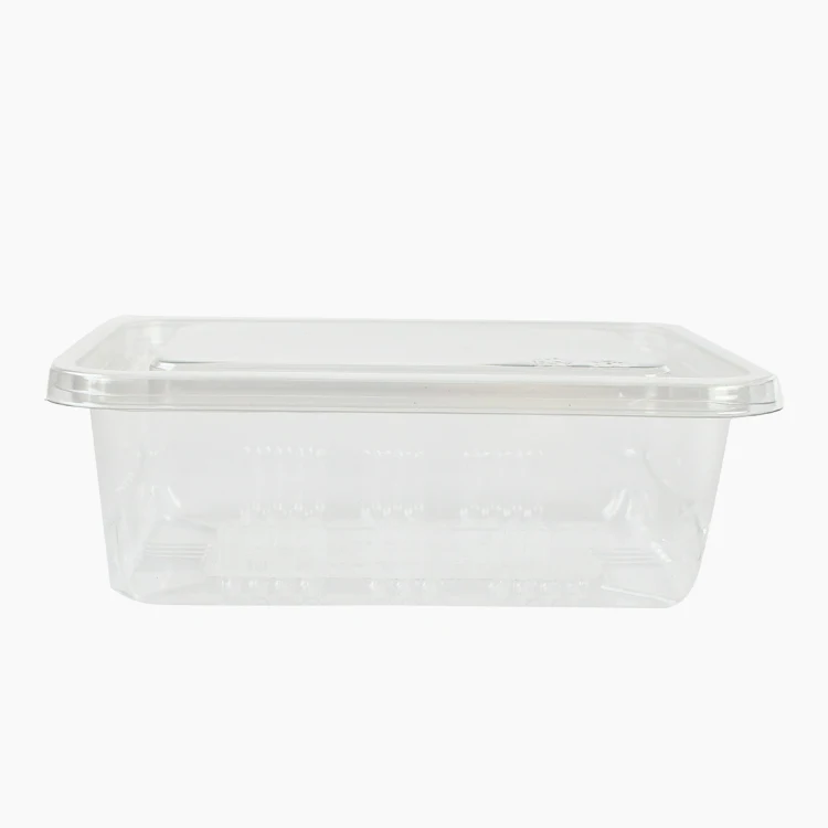 Environmental Protective Carbon Right PLA Plastic Food Container
