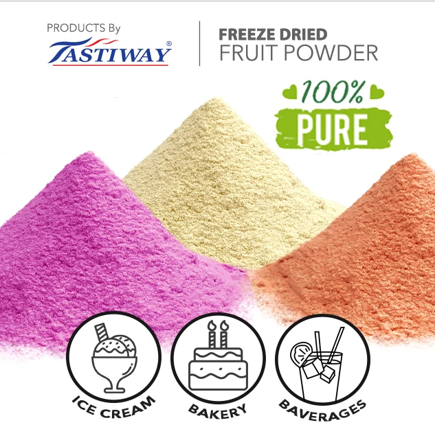 FD Coconut Freeze Dried Coconut Slices Dried coconut chips