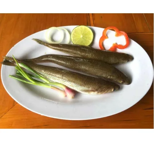 Best Price Natural Frozen Fresh Raw Fish Seafood Body Part Dried Lizard Fish With Air-Dried Processing From Vietnam