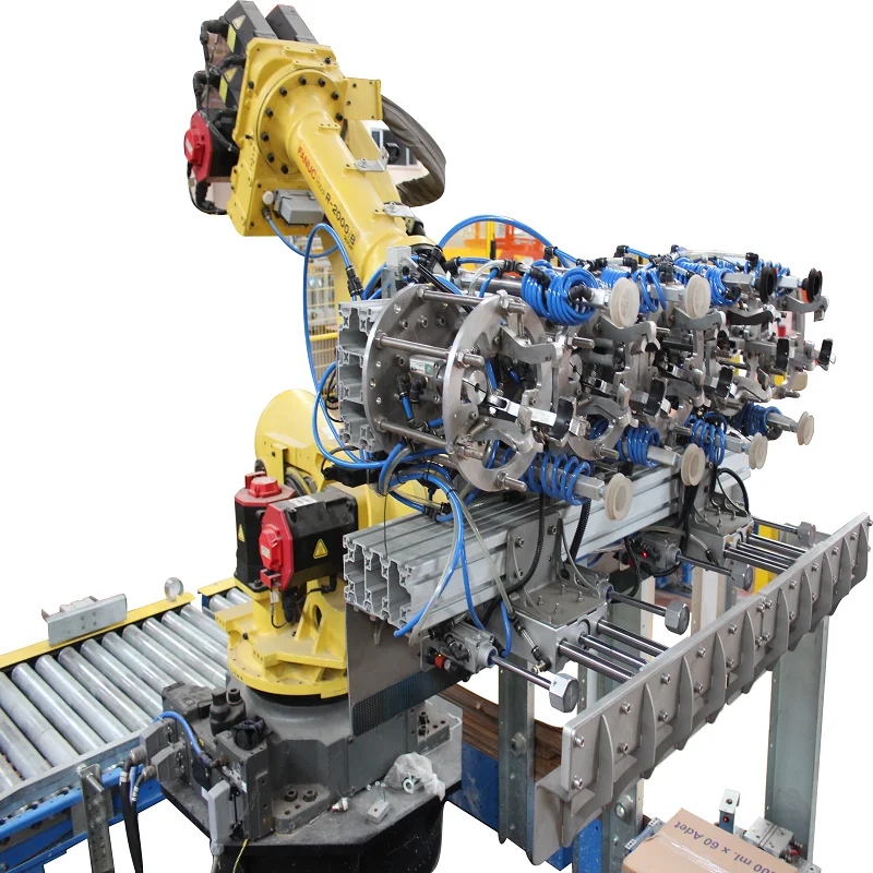 High Productivity Industrial Robot Palletizer for Carboy (Demijohn)