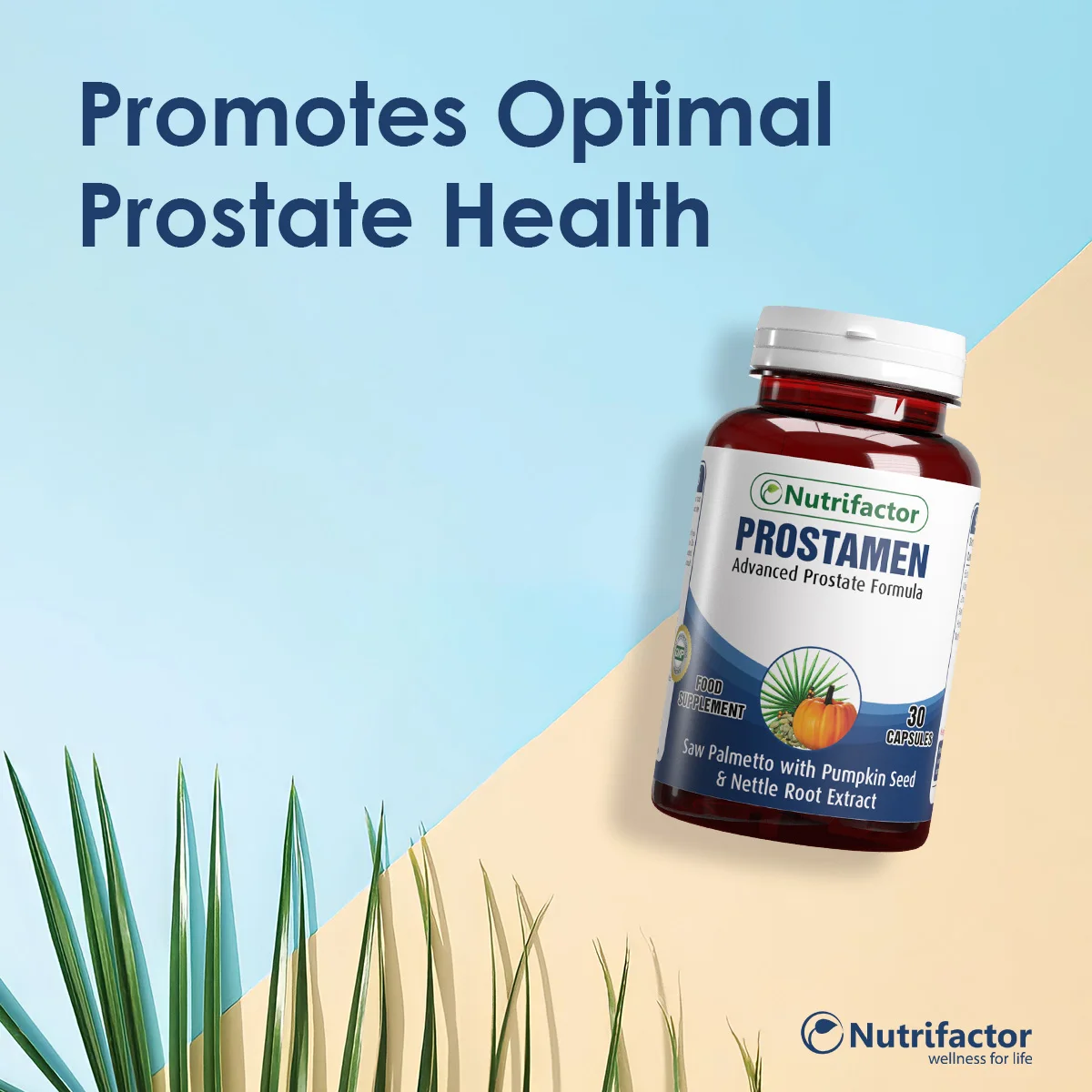 
PROSTAMEN Natural Prostate Supplement Men Health Saw Palmetto herbal extracts Zinc Vitamin B6 reproductive health urinary flow 