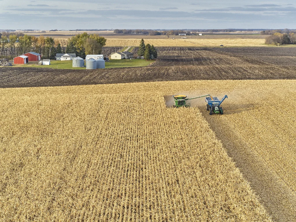 Corn Syrup Solid Mild sweetening bulking medium coarse granulation 42DE