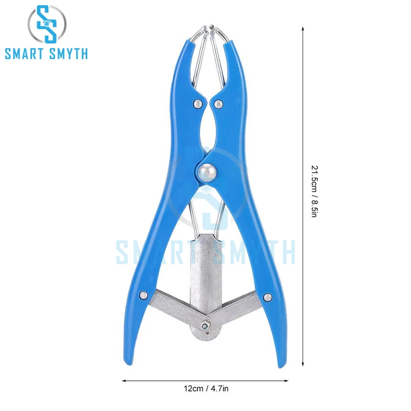 Top Design Castration Of Cattle And Sheep Farm Animals Pork Cattle Sheep Tail Docking