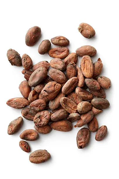Top Grade Wholesale Cocoa Bean For Sale In Cheap Price