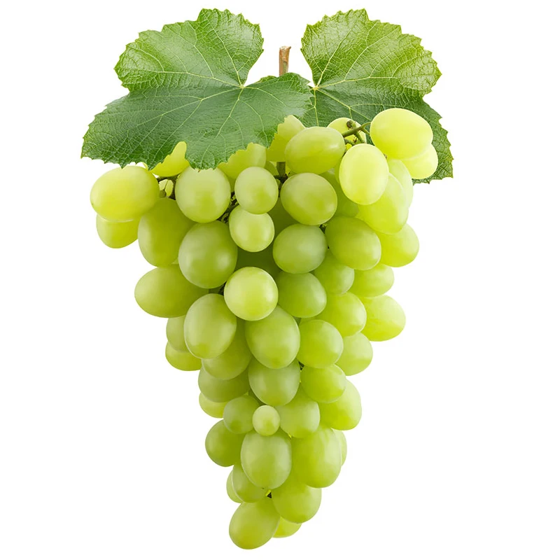 
Sweet Shine Green Grapes for Wholesale Fresh Natural Seeded Grape COMMON Cultivation 2.0-2.8 Cm from AU 