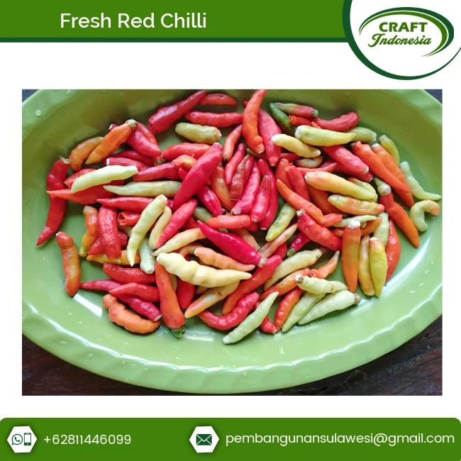 Farm Fresh Spicy Fresh Red Chili Pepper Super at Superb Price