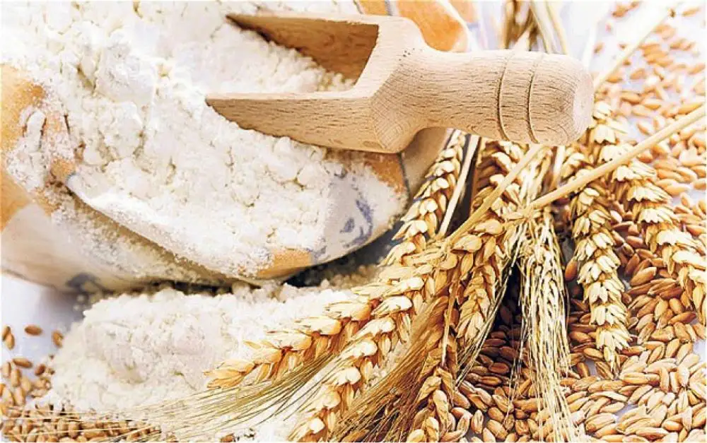 Soft wheat flour type 00 25kg   Whole Wheat Flour Price/Wholesale Organic White Wheat