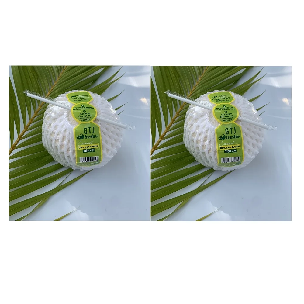 100% Fresh 4 Weeks Usage Green Convenient Diamond Cut Shape For Drink From Mekong Delta Vietnam Coconut Fruit