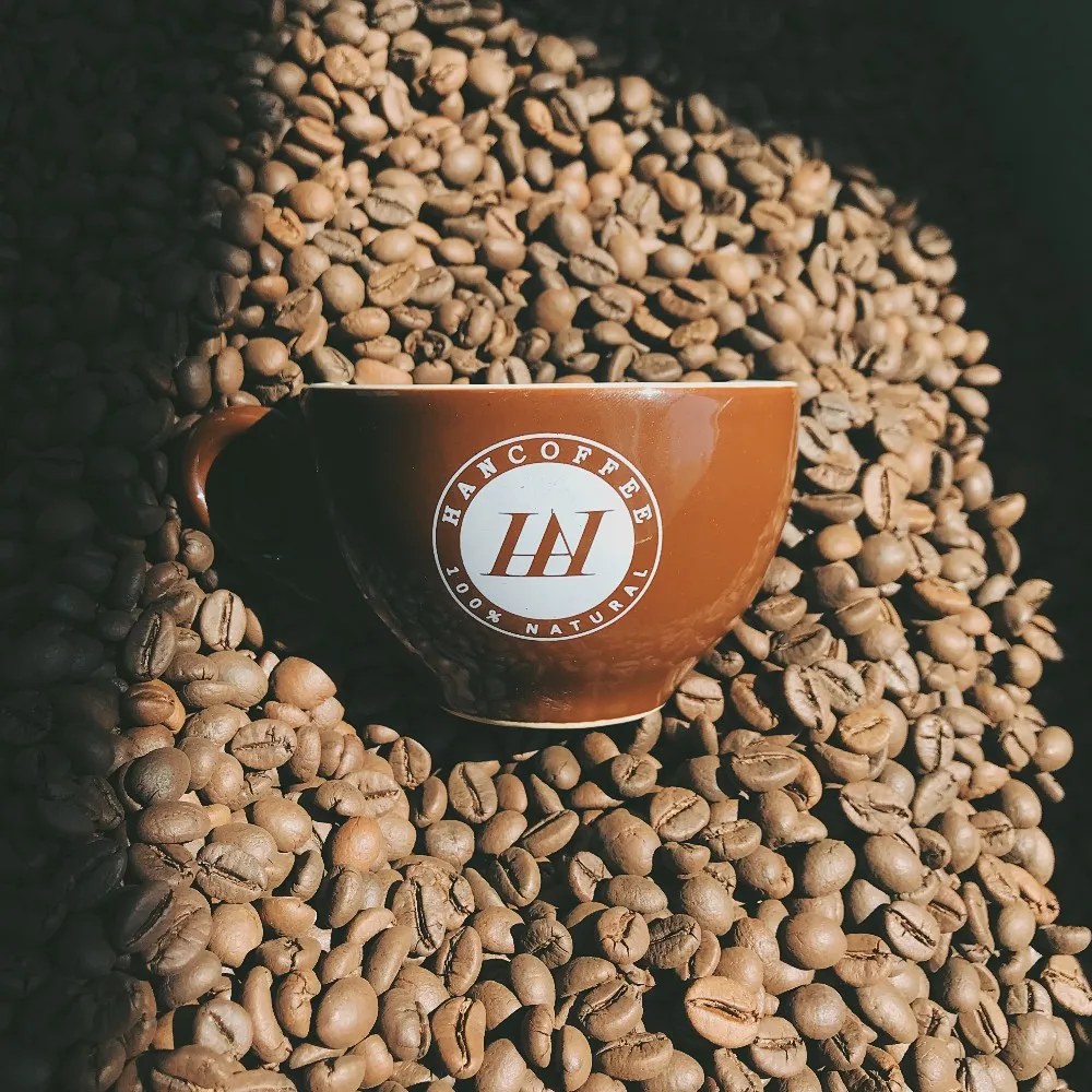 Vietnam Best Quality Easy-to-use 100% Arabica  Espresso coffee bean Eco-friendly Espresso Premium bean coffee