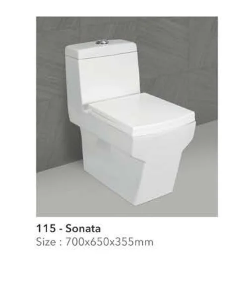 Sonata White Ceramic One Piece Toilet Water Closet