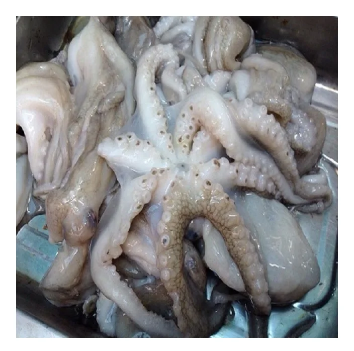  Best Quality New Stock IQF whole round frozen baby octopus from Vietnam