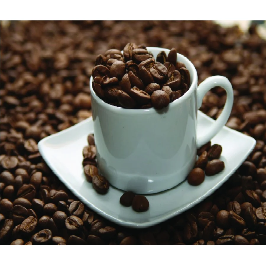 
Экспортная продукция высокого качества и по лучшей цене, зеленые кофейные зерна Robusta из Вьетнама 