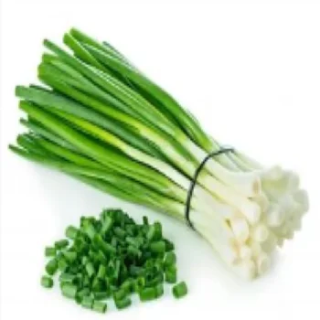
Fresh Scallions From Gardens of Turkey for Sale 2021 