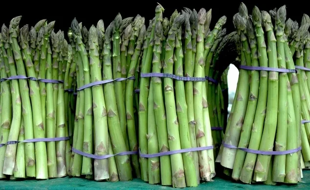 Fresh Asparagus Grade A OEM Available Customized Size Weight Package from Thailand Organic Premium Product s