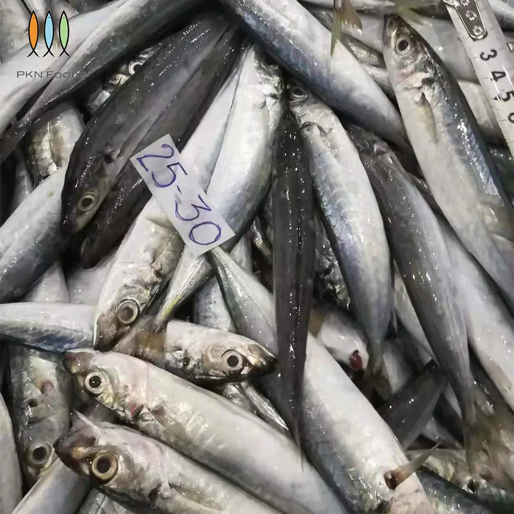 Nature Fresh Seafood Purse Seiner Whole Body Frozen IQF BLOCK Seasonal Decapterus Macrosoma Layang Scad